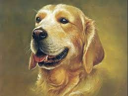 Nữ mạng tuổi Nhâm Tuất sinh năm 1982 mang mệnh Thủy